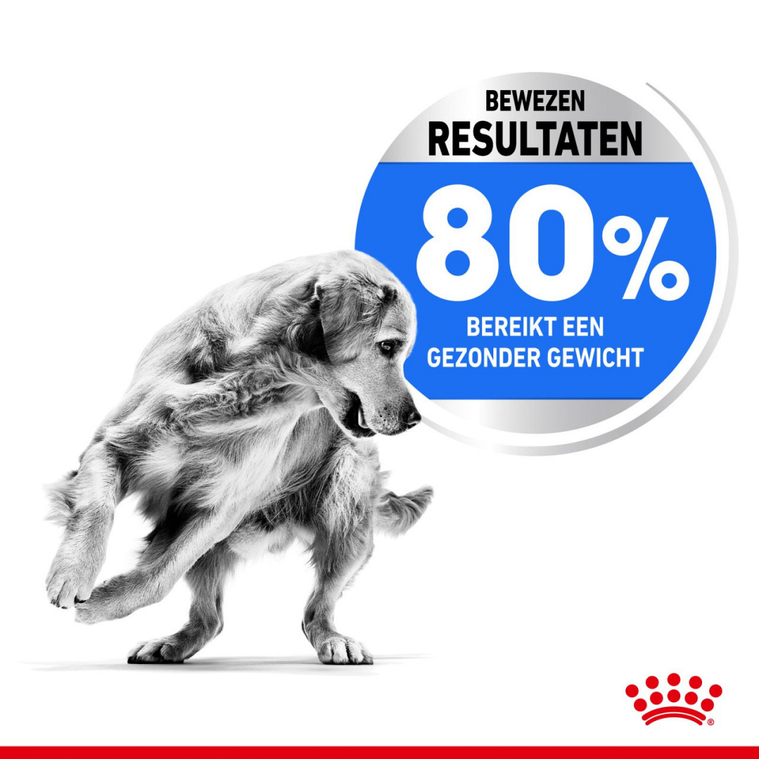 Aannemelijk Diploma herhaling Royal Canin hondenvoer Light Weight Care Medium 12 kg | Animal Center