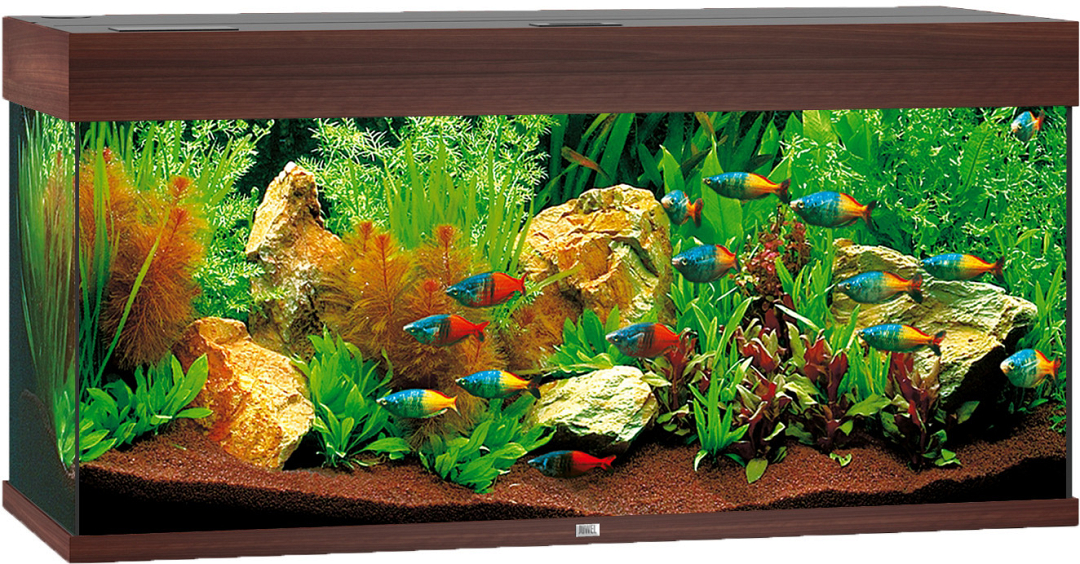 ergens schoenen Alarmerend Juwel aquarium Rio 180 LED donkerbruin | Animal Center