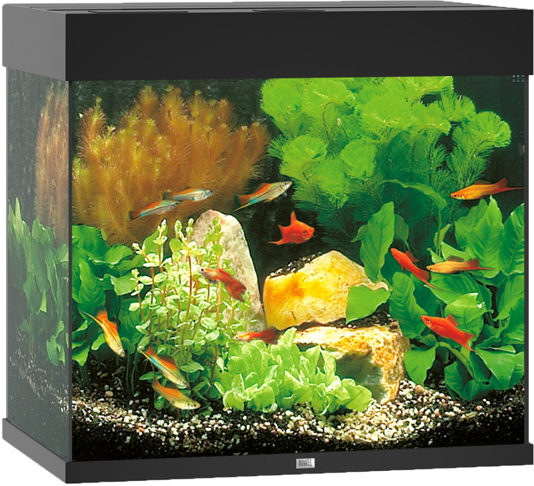 Juwel aquarium Lido zwart | Center