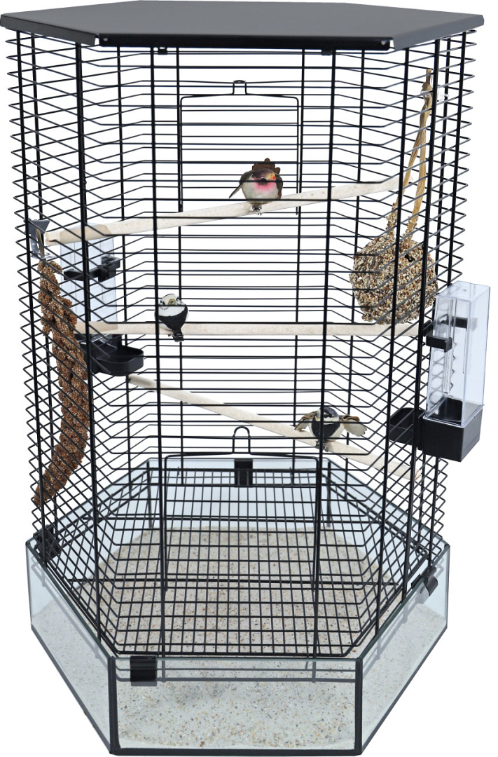 Rimpels Spreekwoord Biscuit Inter-Zoo vogelkooi Vision Hexo zwart | Animal Center