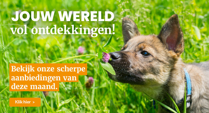 slider april 2026 674x364