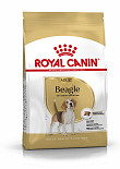 Royal Canin hondenvoer Beagle Adult 3 kg