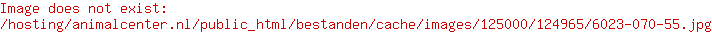 Lex & Max Hondenmand Stockholm Green