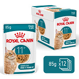 Royal Canin Kattenvoer Ageing 11+ in Jelly 12 x 85 gr