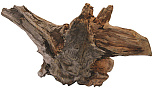 SuperFish Driftwood S