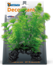 SuperFish Deco Plant Cabomba S