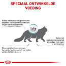 Royal Canin Kattenvoer Anallergenic 2 kg