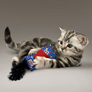 Kong Kickeroo met catnip assorti