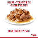 Royal Canin Kattenvoer Urinary Care in Gravy <br>12 x 85 gr