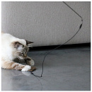 D&D I Love Happy Cats Telescopische Kattenhengel Connor