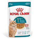 Royal Canin Kattenvoer Ageing 11+ in gravy <br>12 x 85 gr