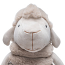 Designed by Lotte Hondenspeelgoed Reza Schaap