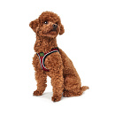 Hunter Hondentuig Hilo Comfort Rood