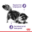 Royal Canin Kattenvoer Appetite Control Care 400 gr