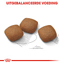 Royal Canin hondenvoer Joint Care Maxi 10 kg