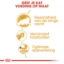 Royal Canin Kattenvoer Persian Adult 400 gr