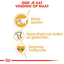 Royal Canin Kattenvoer British Shorthair Adult 400 gr