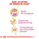 Royal Canin Kattenvoer British Shorthair Kitten 400 gr