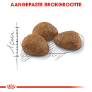 Royal Canin Kattenvoer Outdoor 7+ 400 gr