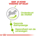 Royal Canin Hondenvoer<br> X-Small Adult 8+ 500 Gr