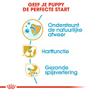 Royal Canin Hondenvoer Cavalier King Charles Puppy 1,5 kg