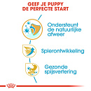 Royal Canin Hondenvoer Boxer Puppy 3 kg
