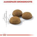 Royal Canin Kattenvoer Indoor Long Hair 2 kg
