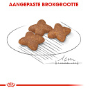 Royal Canin hondenvoer Mini Adult 8 kg
