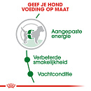 Royal Canin hondenvoer Mini Adult 8 kg