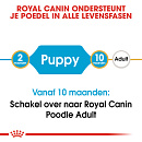 Royal Canin hondenvoer Poodle Puppy 3 kg