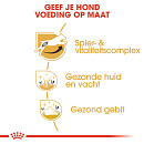 Royal Canin Hondenvoer Jack Russell Adult 7,5 kg