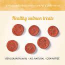 Antos Wild Zalm 80 gr