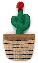 Beeztees Catnip Cactus Ota