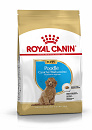 Royal Canin hondenvoer Poodle Puppy 3 kg