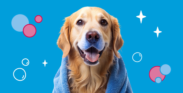 Gratis beautydag voor je hond!