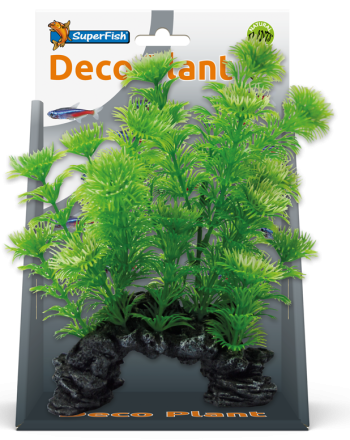 SuperFish Deco Plant Cabomba S