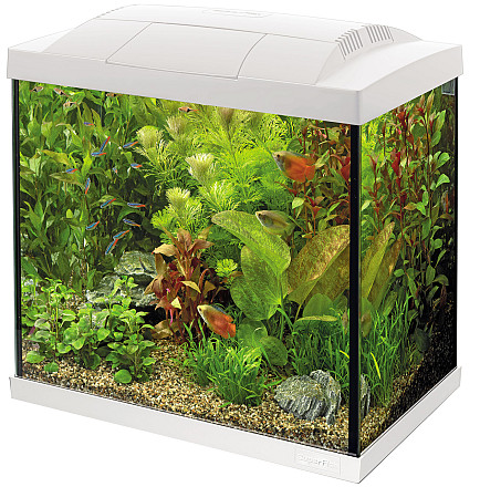 SuperFish aquarium Start 30 Tropical kit <br>wit