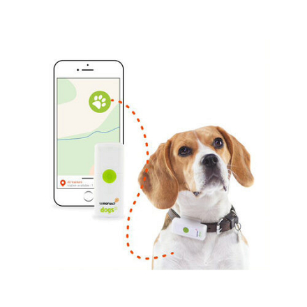 Weenect GPS Tracker voor de hond