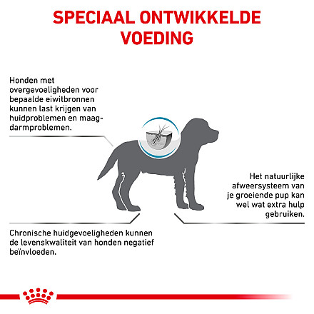 Royal Canin Hondenvoer Hypoallergenic Puppy 3,5 kg