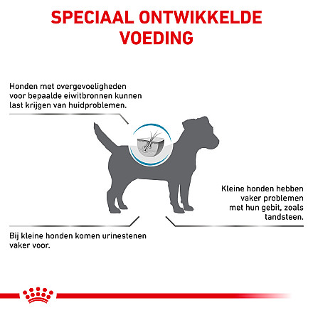 Royal Canin Hondenvoer Hypoallergenic Small 3,5 kg