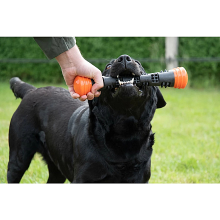 Dog Comets Meteor Werpstok Oranje
