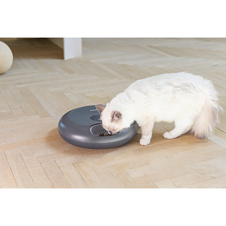 Beeztees Automatische Voerbak Onni Antraciet 180 ml