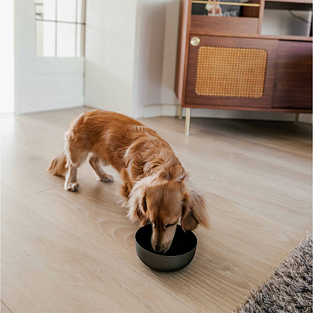 District 70 Voer- en Drinkbak Royal Antraciet