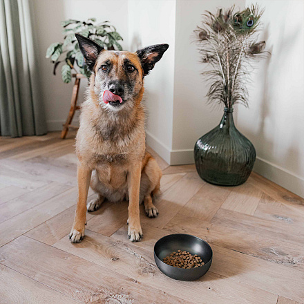 District 70 Voer- en Drinkbak Royal Antraciet