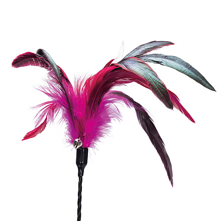 Beeztees Kattentickler Gekleurde Veren Assorti