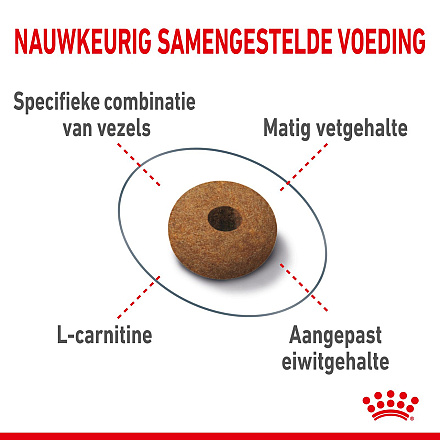 Royal Canin Kattenvoer Appetite Control Care 400 gr