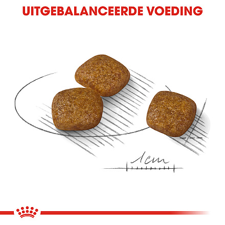 Royal Canin Hondenvoer Urinary Care Mini 3 kg