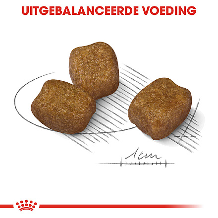 Royal Canin Hondenvoer Dental Care Mini 1 kg