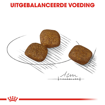 Royal Canin hondenvoer Coat Care Mini 3 kg