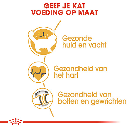 Royal Canin Kattenvoer Ragdoll Adult 400 gr